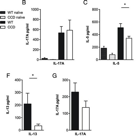 Inhibition Of T Cell Restricted Notch Signaling Reduces Th1 And Th2