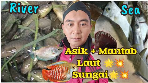 ASIK JUGA MANCING DI SUNGAI Pak Hakim Blusukan Cari Spot Mantap SERU