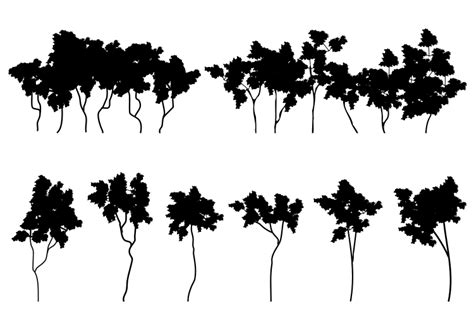 Tree Silhouette Graphic By Cyudeshbuhu · Creative Fabrica