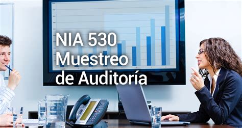 Nia 530 Muestreo De Auditoría Asd Auditing Software Distributor