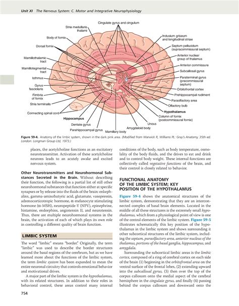 Guyton And Hall Textbook Of Medical Physiology Pdfdrive Unit