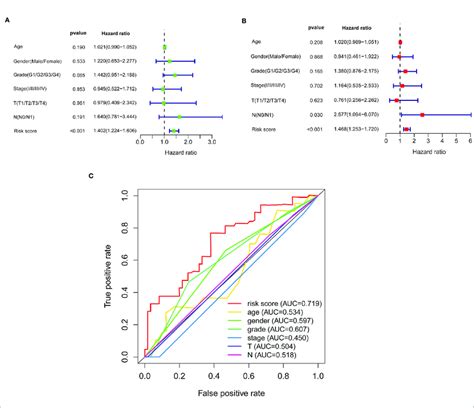 Effects Of The Risk Score And Clinical Information On The Prognosis