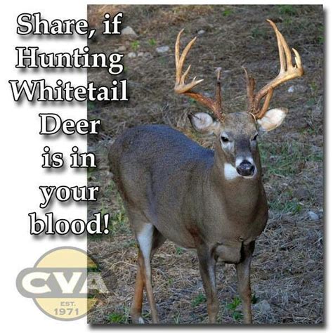 Deer Hunting Quotes And Sayings Quotesgram