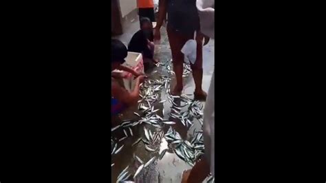 ISDA PINAG TATAPON SA KALSADA NG MGA ABUSADONG TRAFFIC ENFORCER NAG