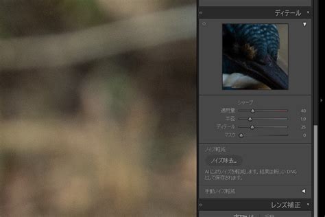 Adobe Lightroom Classic の新機能AI ノイズ除去 b s mono log