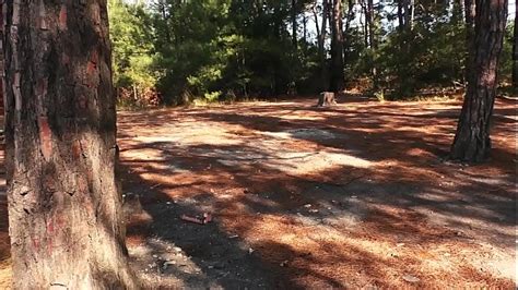 Macaco Videos XVIDEOS