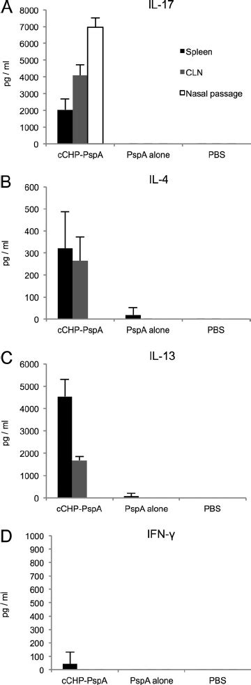 Cd4 ϩ T Cells From Cchp Pspa Immunized Mice Produce Th17 And Th2 Type