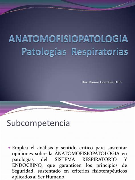 Pdf Anatomofisiopatologia Respiratoria Dokumen Tips