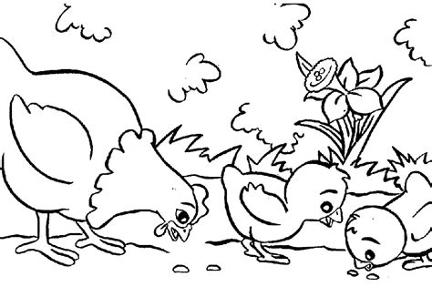 S Lection De Coloriage Poule Imprimer Sur Laguerche Page