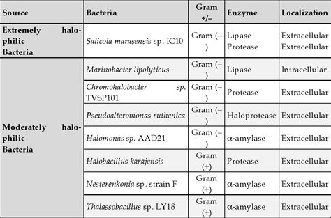 Halophilic Bacteria