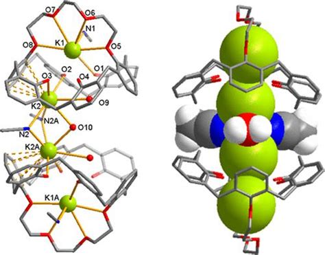 Calix 6 Mono Crown 4 碱金属配合物的意外溶剂依赖性自组装：双核碗、假胶囊和一维聚合物inorganic