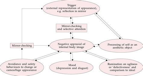 Cognitivebehavioural Therapy For Body Dysmorphic Disorder Advances In Psychiatric Treatment