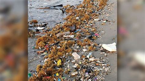 Playa De Omoa Convertida En Un Basurero Por Desechos Que Provienen De