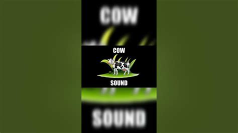 Cow Sound Effect Cow Sound 3 Free Sound Effects For You Cow