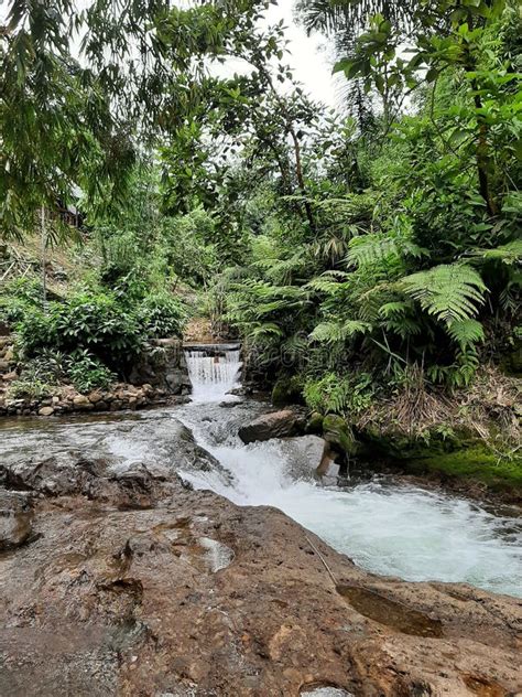 Beautiful Green Nature Spring Hot Water Stock Photo Image Of Valley