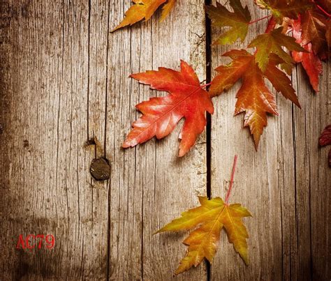 Hellodecor X Ft Wood Floor With Red Leaves Indoor Studio Photography