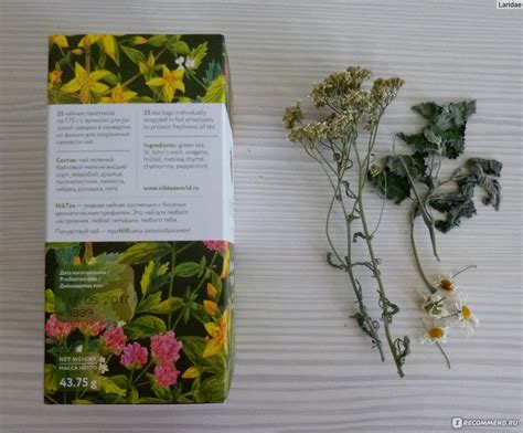 Чай в пакетиках NIKTEA Красная поляна зеленый байховый - «Вкуснейший ...