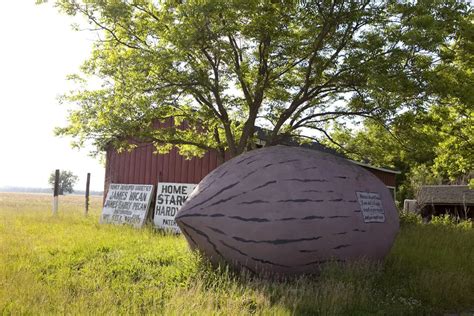 Worlds Largest Pecan In Brunswick Missouri Former