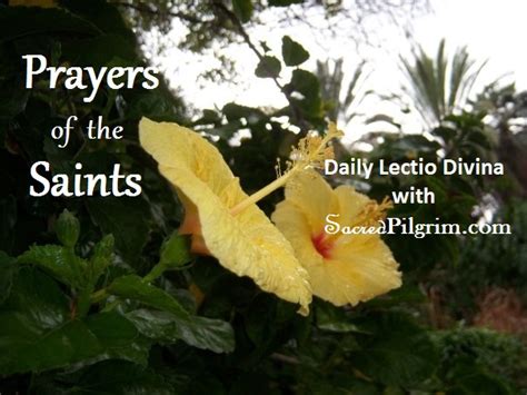 Prayers of the Saints – Sacred Pilgrim Spiritual Direction