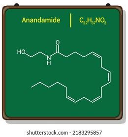 Chemical Structure Anandamide C22h37no2 Stock Vector (Royalty Free ...