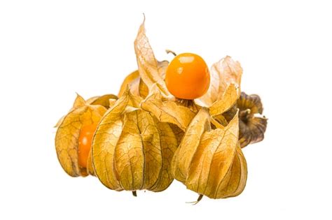 Premium Photo | Physalis