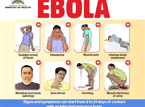 Ebola Symptoms And Signs