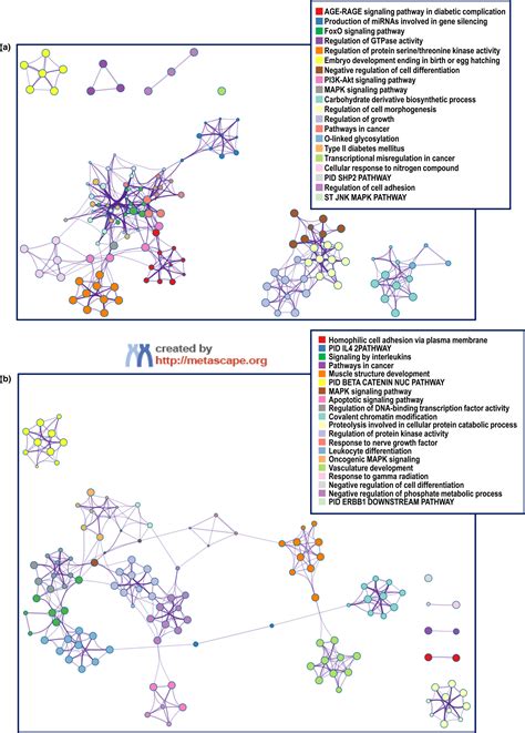 Profiling Of Circulating Chromosome Encoded Micrornas Mir And