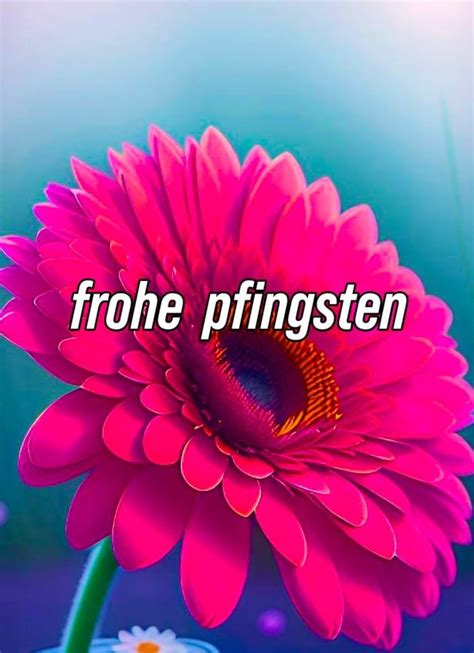 Pfingstgr E Frohe Pfingsten Bilder Kostenlos Whatsappp