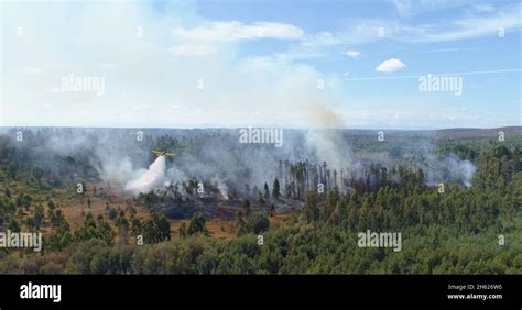 Firefighting aircraft dropping a load of water to extinguish the fire ...