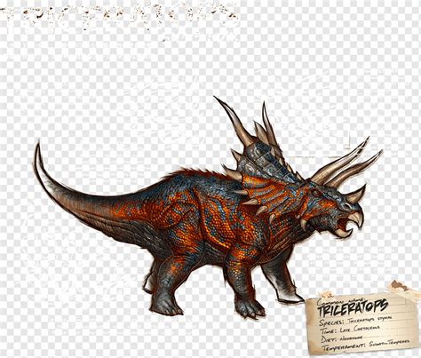 Triceratops Arche Überleben entwickelt Styracosaurus Torosaurus