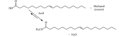 Acid Catalyzed Esterification Of Fatty Acids To Fames The