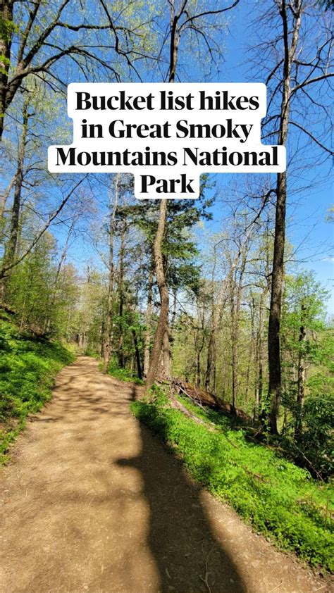 Best Hikes In Great Smoky Mountains National Park Artofit