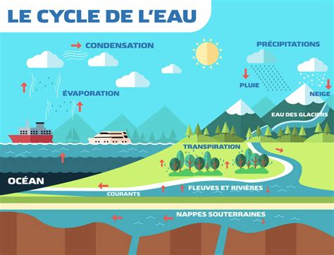 Cycle De Leau étapes Schéma Comment ça Marche