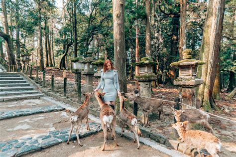 10 Things To Do In Nara Japan