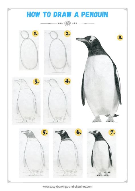 How to draw a penguin – Artofit