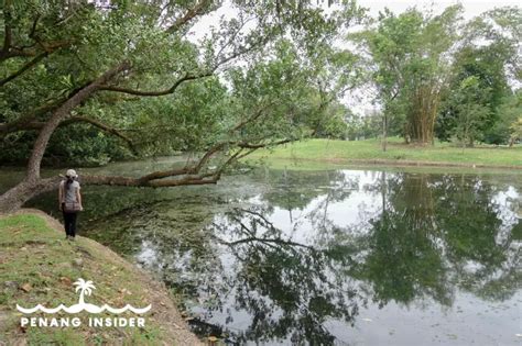 Taiping Lake Gardens: 11 Coolest Things to See - Penang Insider