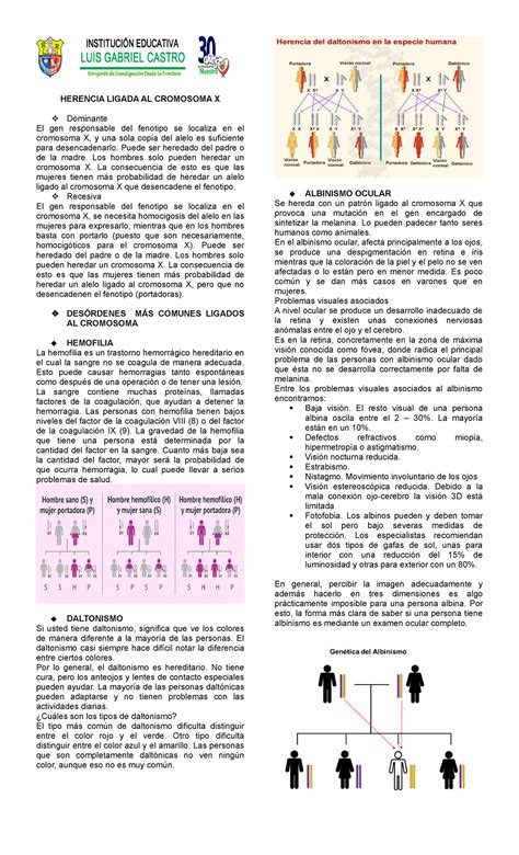 Herencia Ligada AL Cromosoma X HERENCIA LIGADA AL CROMOSOMA X