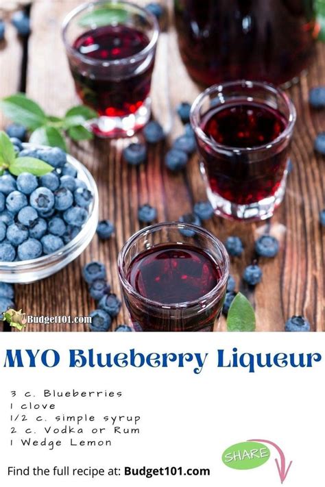 Blueberry Liqueur Recipe Blueberry Liqueur Recipes Liqueurs