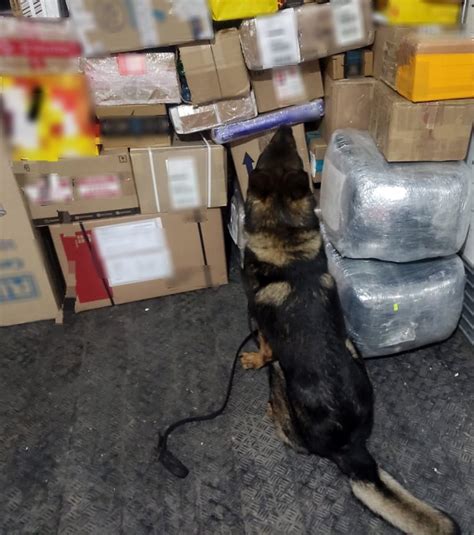 Guardia Nacional On Twitter En El Aeropuerto Intercontinental De