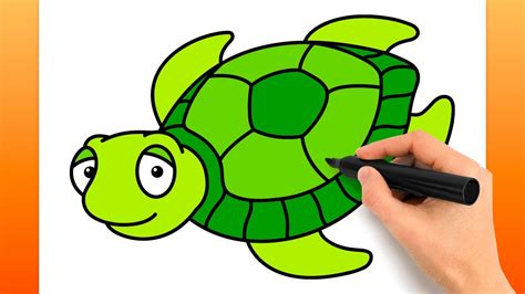 Comment Dessiner Une Tortue De Mer Tutoriel De Dessin Facile Youtube