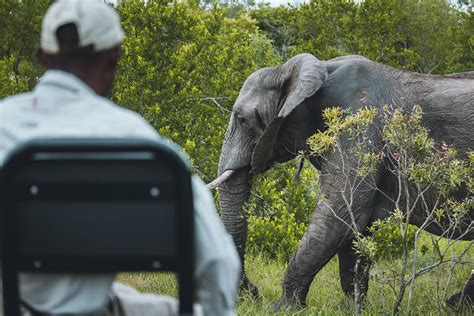 6 Unmissable South Africa Experiences for Your Next Adventure