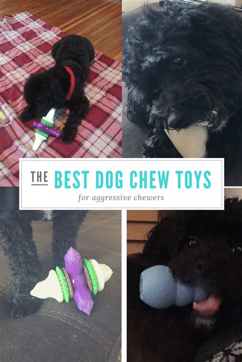 Best Dog Toys for Aggressive Chewers 2020 - Our Top Picks!