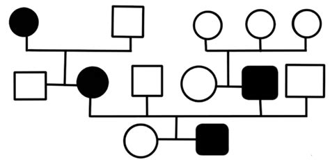 Above Pedigree Chart Show N N N N N A Autosomal Dominant Traitb