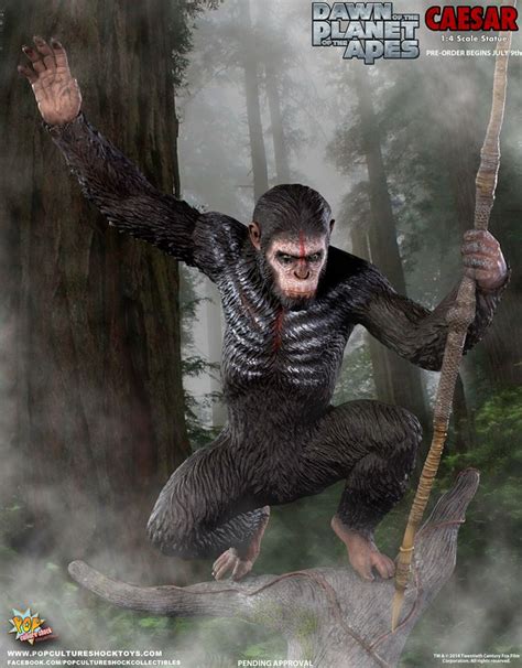 Pop Culture Shock Dawn of the Planet of the Apes Caesar Statue Photos ...