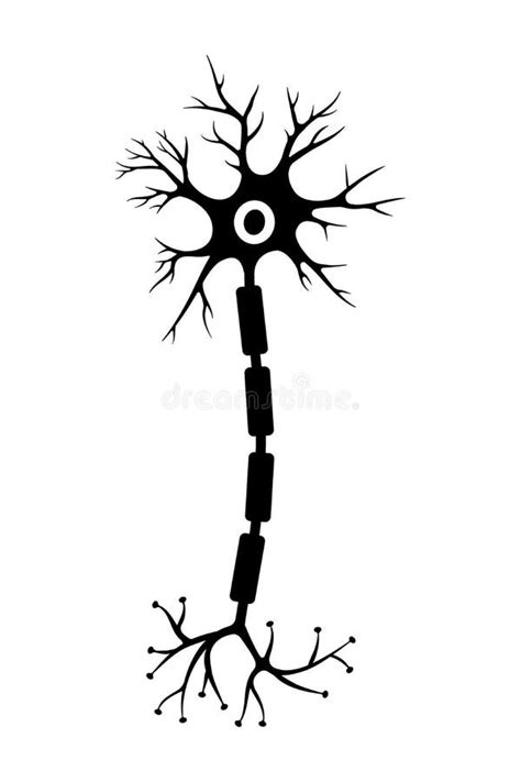 Brain Neuron Symbol Human Neuron Cell Sign Stock Vector Illustration