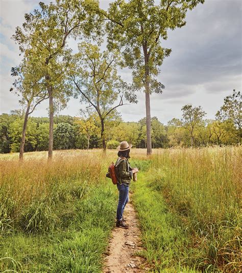 An Insiders Guide To Exploring Wissahickon Valley Park