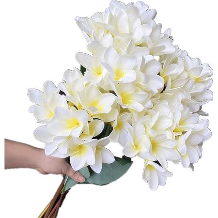 Amazon Jiumengya Pcs Silk Frangipani Flower Stems Inch Fake