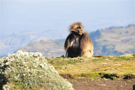 Sphere Tour Travel Addis Ababa Lo Que Se Debe Saber Antes De