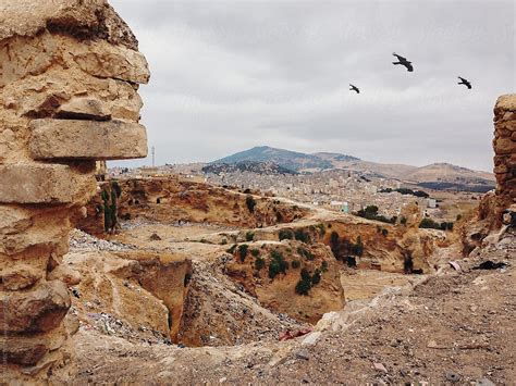 Three Birds Over Landfill In Morocco By Stocksy Contributor