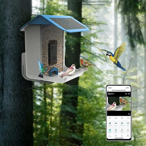 The Ultimate Bird Watching Experience: Best Wireless Camera Feeder